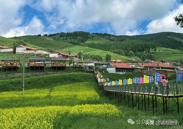 浑源县东葫芦头村：油菜花海引客来 清凉乡村醉游人