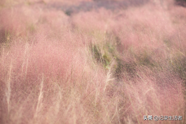 全部免费！秋天8个情侣游好去处推荐！