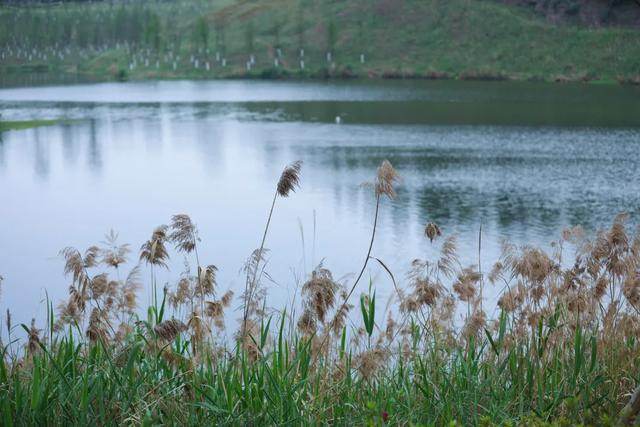 周末晒太阳！这几地有湖水+草坪+1h可达