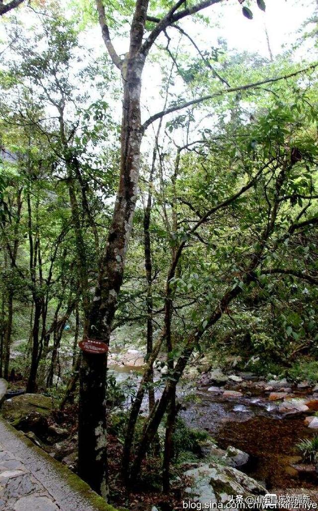 水口景区小记（江西之旅第八十八篇）