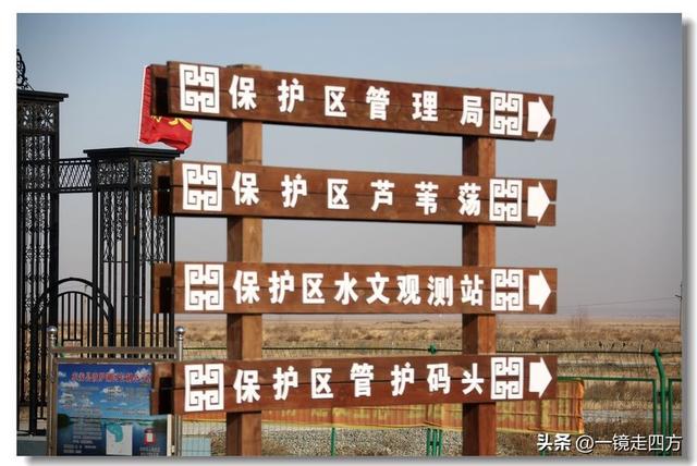 深秋时节，走进长春农安的波罗湖湿地