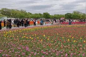 沈阳，嘎嘎好逛！图片