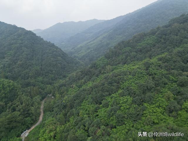 成都徒步（69）·彭州篇⑯法藏寺环线（桥断未走通）