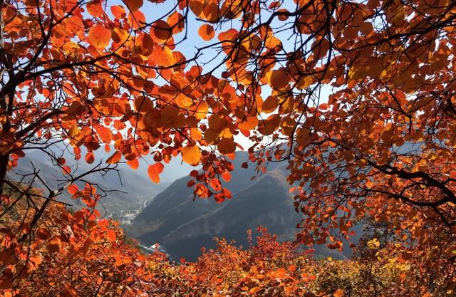 秋日登高：为何秋天的山更值得爬？