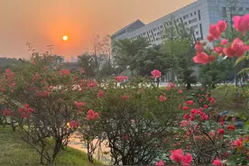 取消教师编制，主要的影响全在这里。图片
