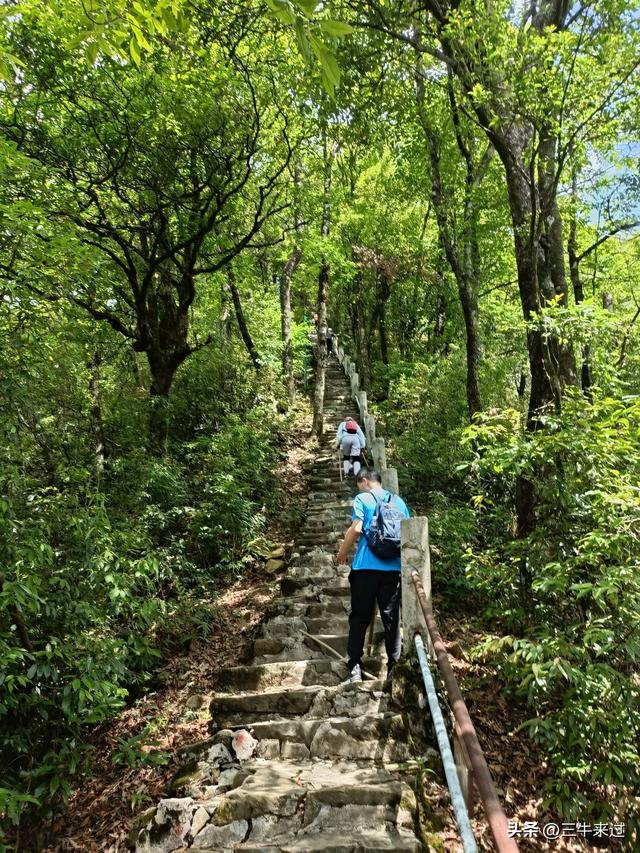 无为在歧路，贵州六日行（15）～梵净山