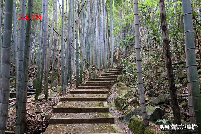 还不知道吧？宁波这么好的徒步线路：七条古道，8字形环游
