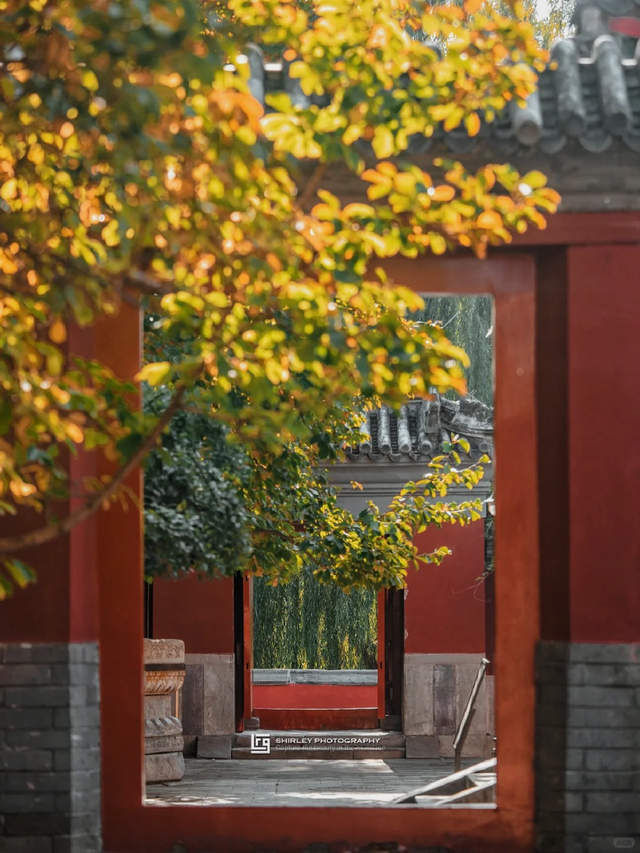 比故宫便宜，比天坛人少！快来免费的“京西小故宫”光影美绝了！