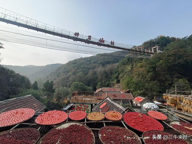 无为在歧路，柿岩之红叶