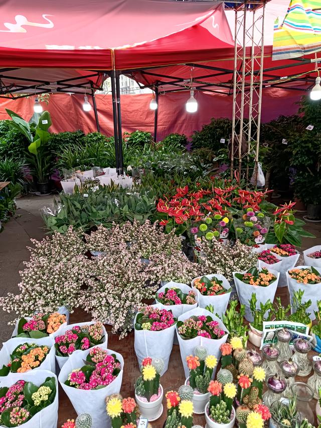 评论区聊一聊，你有哪些可以获得快乐的低成本小事？