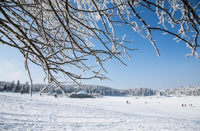 【雄奇山水 冬韵武隆】冰雪奇缘·南国雪国童话
