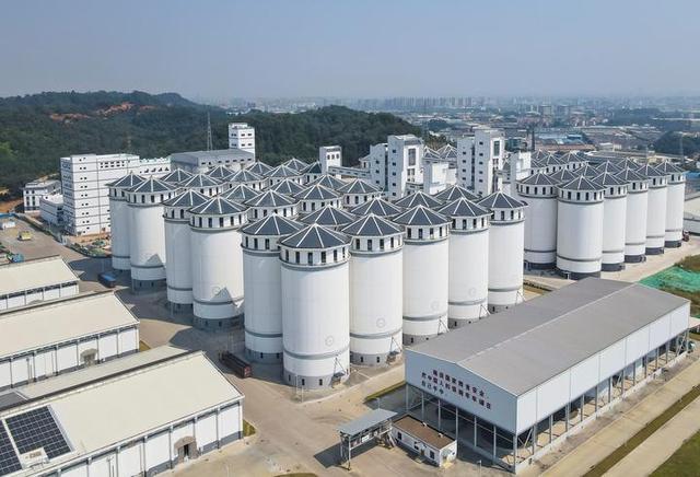 俄乌堵粮道美豆卡脖子，中国建七大粮仓拓南美，14 亿人饭碗稳了