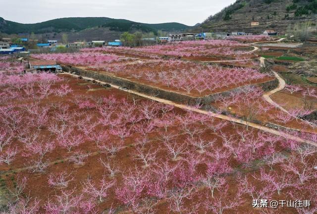 春山藏古寺，骑行访千年—枣庄山亭寻幽记，方丈竟然是释永信师弟