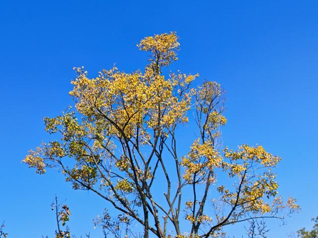 这才是昆明的冬天