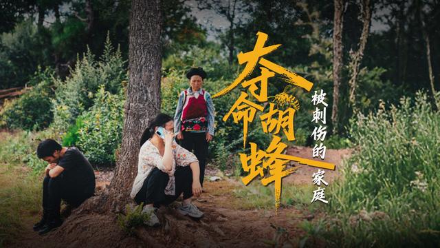 “夺命胡蜂”事件追踪