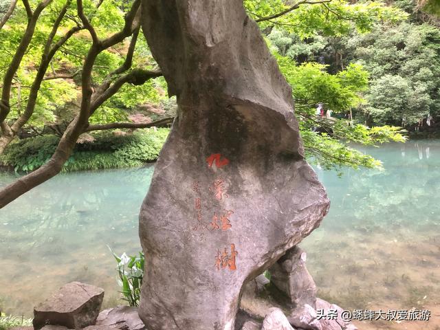 杭州秋日新玩法上新，可跟着公交打卡，数个宝藏景点，很有料！
