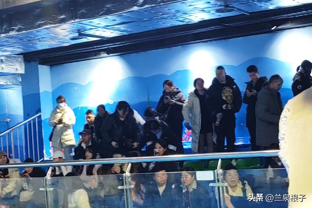 国宝百日庆·萌兽迎新年 兰州野生动物园邀您共赴自然之约