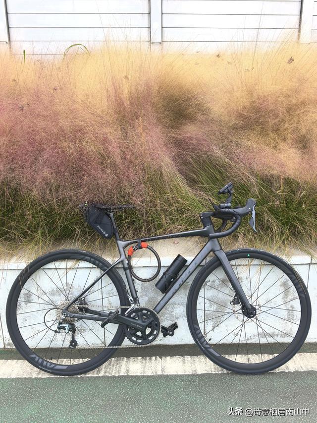 环长江(内环)骑行观光的路线与趣味:一江秋光连天际，满城烟火…