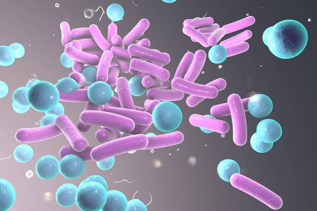 冬枣立大功！新发现：冬枣能在24小时清除45%的肠道“垃圾”
