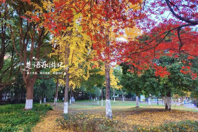 浙江宁波这处风景的秋色堪比诗画，人少景幽休闲很惬意，值得推荐