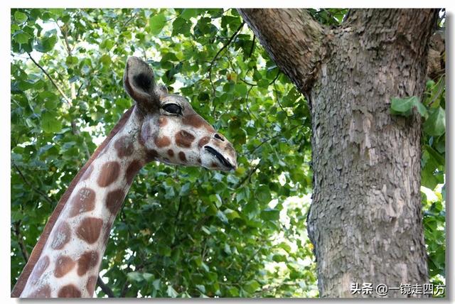 大连滨海路终点的海之韵公园