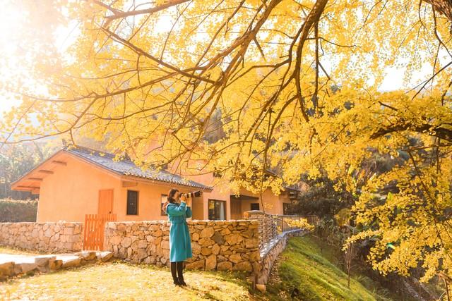 宜春人私藏的赏秋地图，这4个宝藏地，让摄影师都走不动路！