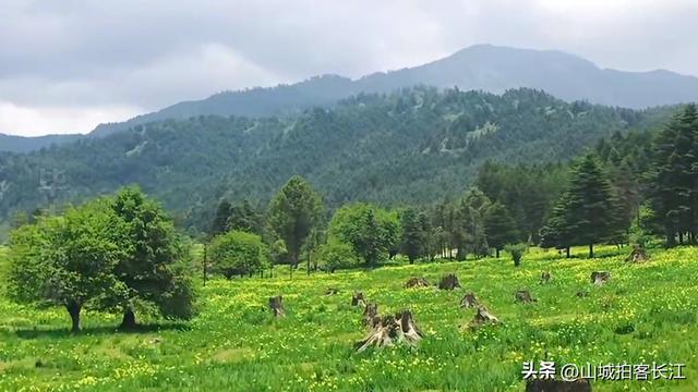 四川这座袖珍县城，因盛产美女得名，你知道它吗？