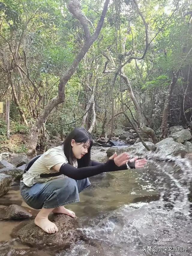 深圳圆山风景区漫记：从禅音到童梦，再攀云巅