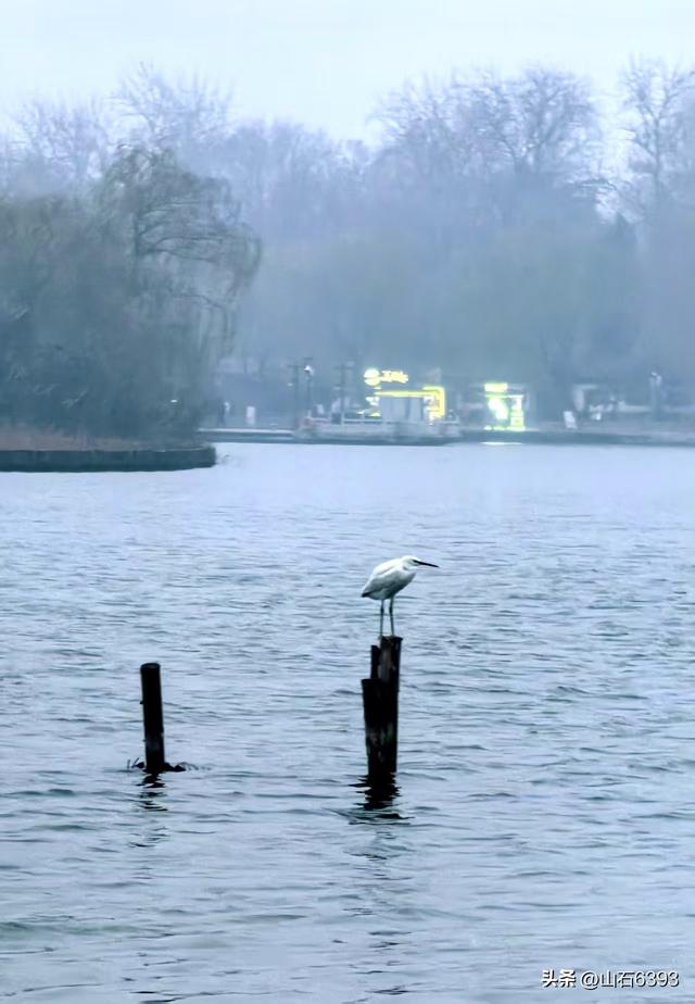 新华社原军事记者陶俊峰泉城美拍：《冬雾中的大明湖》