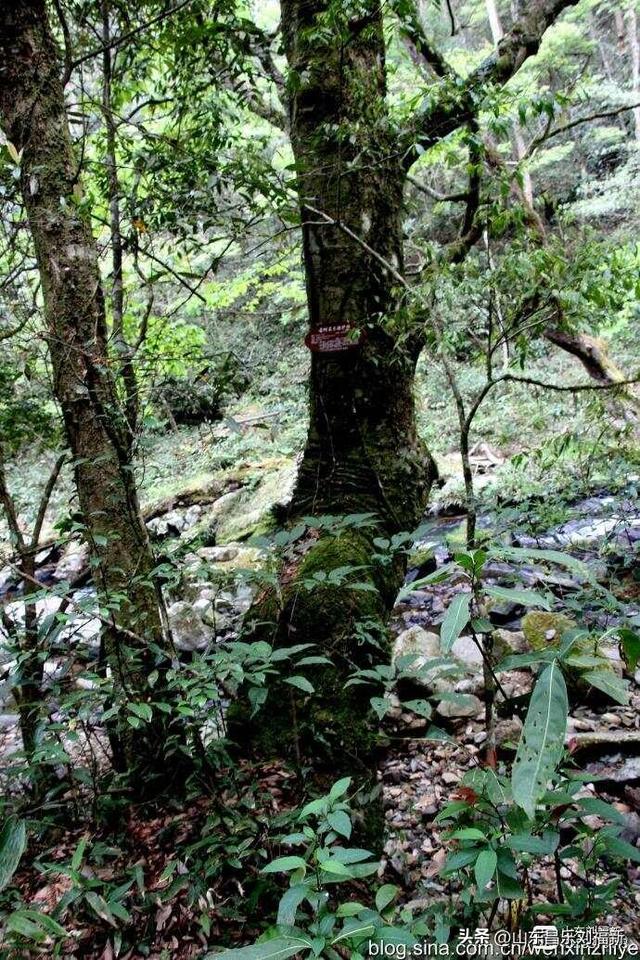 水口景区小记（江西之旅第八十八篇）