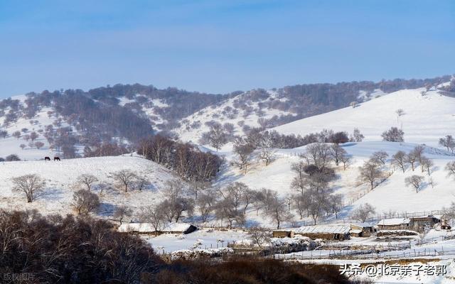 冬日自驾，奔赴乌兰布统赏绝美雪景