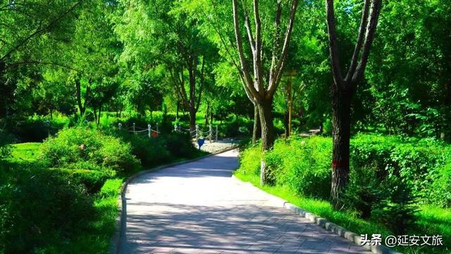 暑期游延安|黄龙这些神仙避暑地,巨凉快~