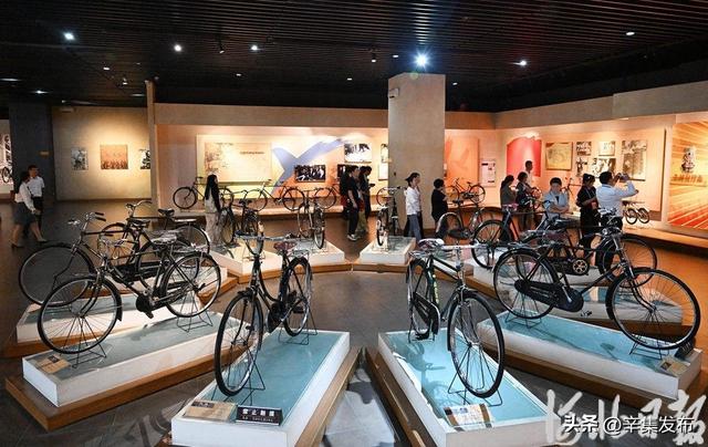 博物馆里有什么？这些神奇“宝藏”，等你探秘→