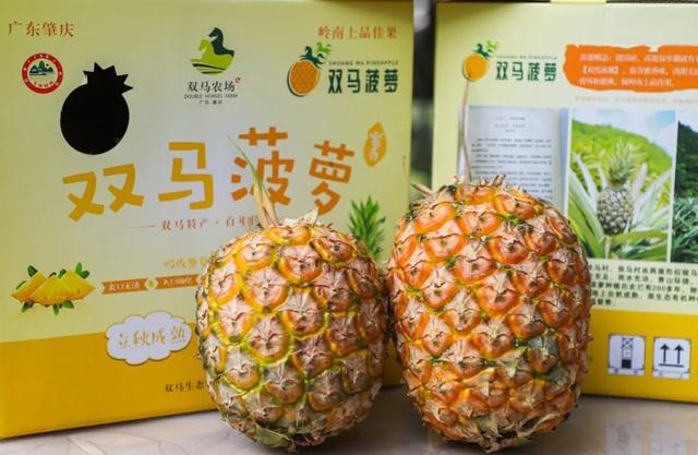 码头风情、咖啡醇香、城堡童话！跟着“悦禄小双”解锁高要新玩法