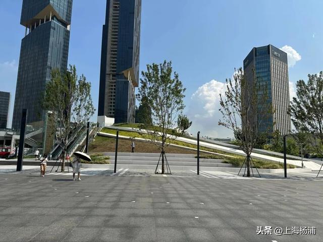 来杨浦“轧马路”！这条Citywalk路线藏不住了