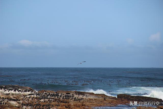 南部非洲：南非好旺角