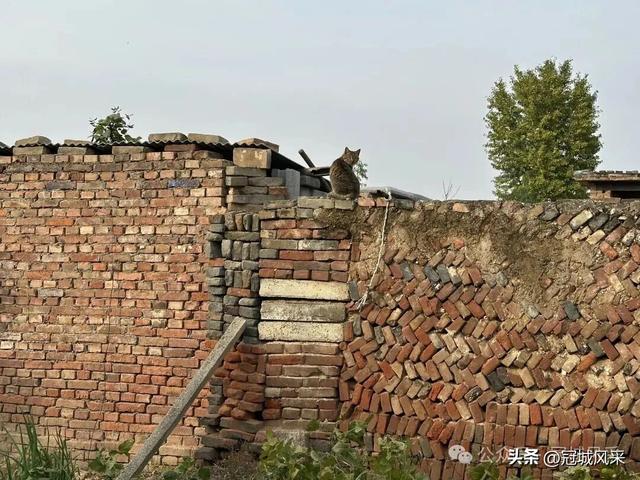 冠县乡韵·桑阿镇轧庄