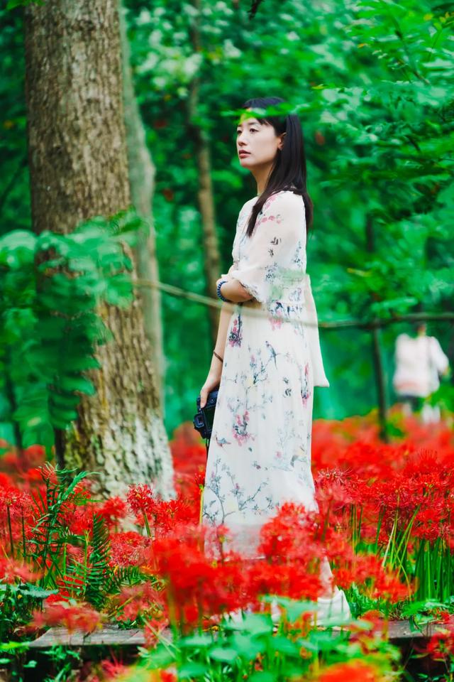 免费打卡！郫都这片彼岸花开得正盛！周末约起→