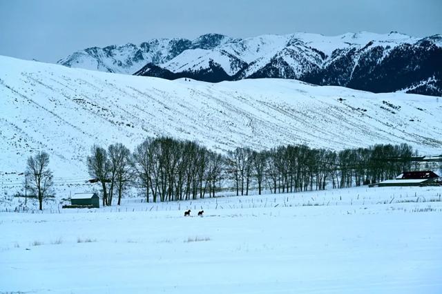 如要选一个冬季最佳拍雪景的地方,首选一定是它