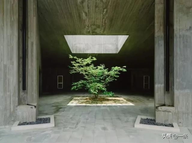 中国95后，爱上逛墓园
