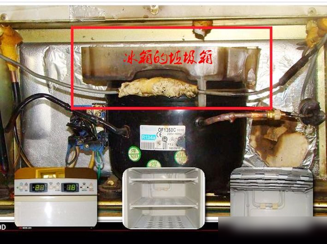 冰箱用了10年才发现，后面还有一个储水盒，一打开厨房都是臭味