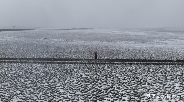美仁初雪，八月飞白！邂逅羚城最意外的浪漫