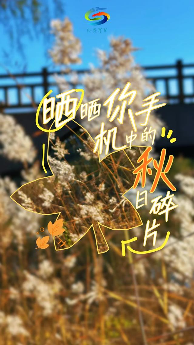 北疆文化 遇鉴赛罕 | 晒晒你手机中的赛罕秋色