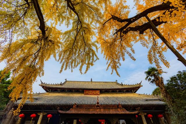 江苏深秋封神路线！红叶燃山野，银杏铺禅径，13城秋韵一次锁死