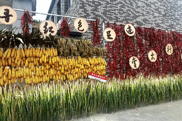 红色武乡“晒”出金秋好光景