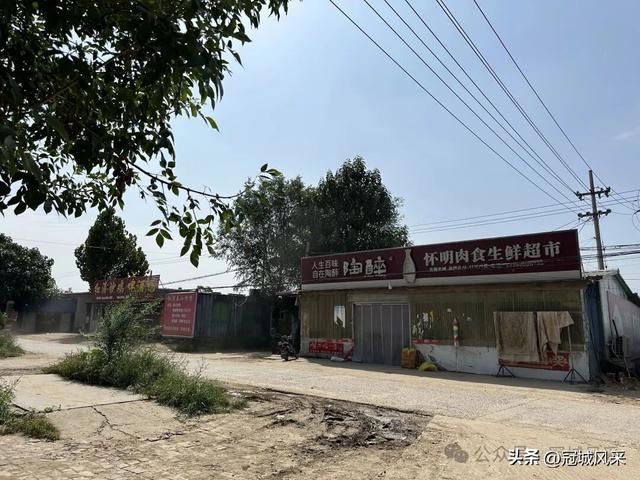 冠县乡韵·定远寨镇前杏园村