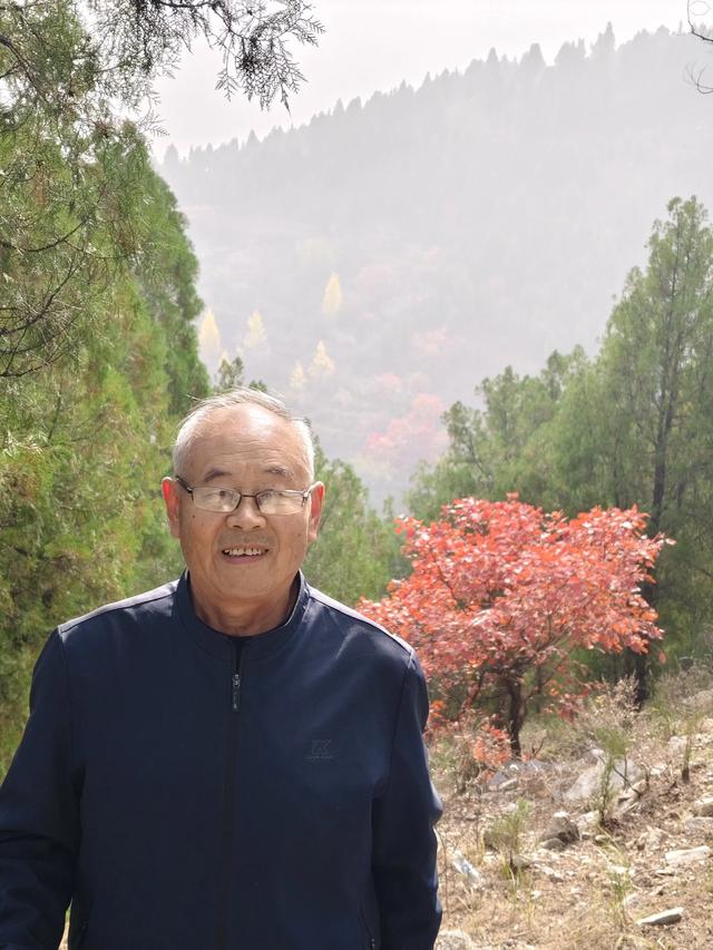 去博山盆泉张丹顶赏红叶