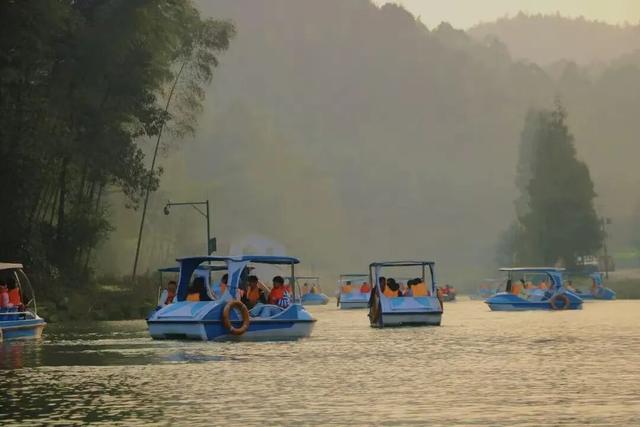 冬日竹海，限时特惠！淡季门票+超值年卡，承包一整年的美景