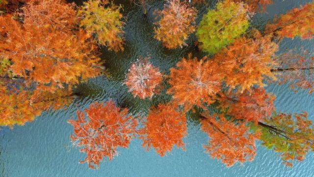 哇！金堂这里漂亮得不得了