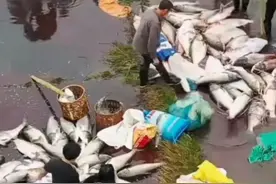 水库泄洪，无数大鱼顺流而下，村民喜获大发福利，官方回应：危险图片